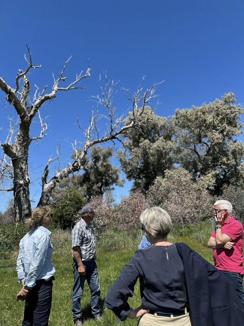 A group going for a site visit
