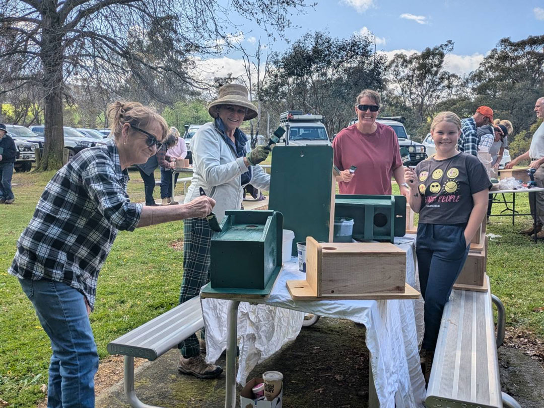 Group of people building Nestbox