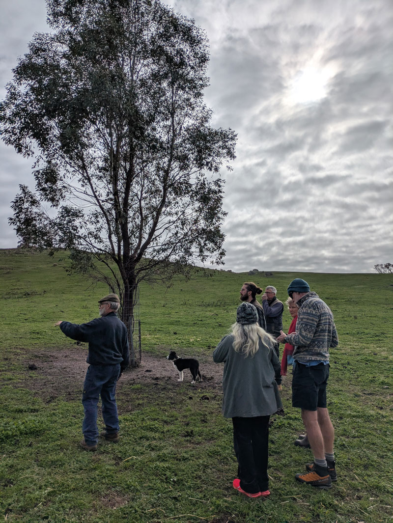 Group of people on the way to tree paddock day