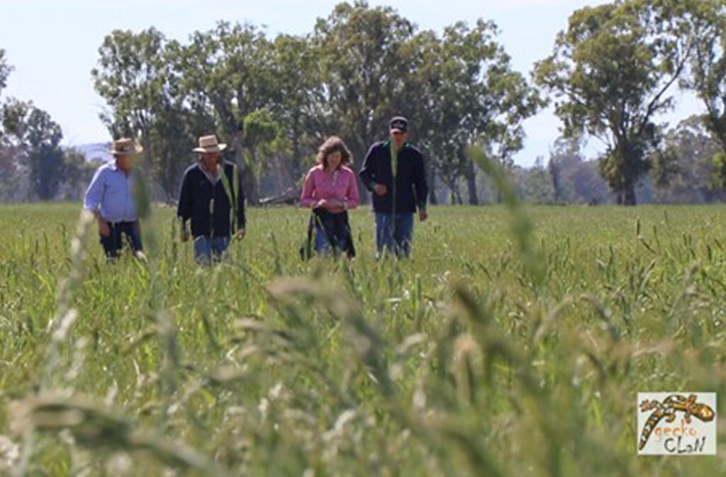 Assessment of pasture at Marriott’s property Benalla