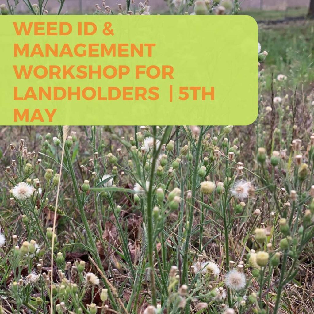 Weed Identification & Management Workshop - Warrenbayne