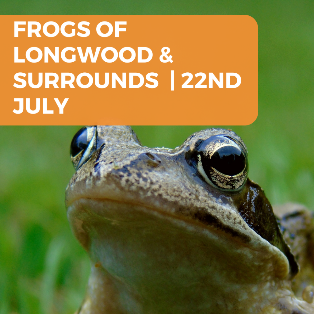 Frogs Longwood & Surrounds