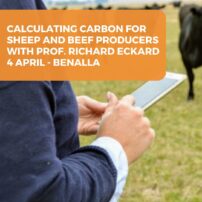 Calculating carbon for sheep and beef producers