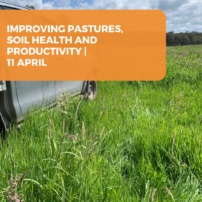 Improving pastures, soil health and productivity