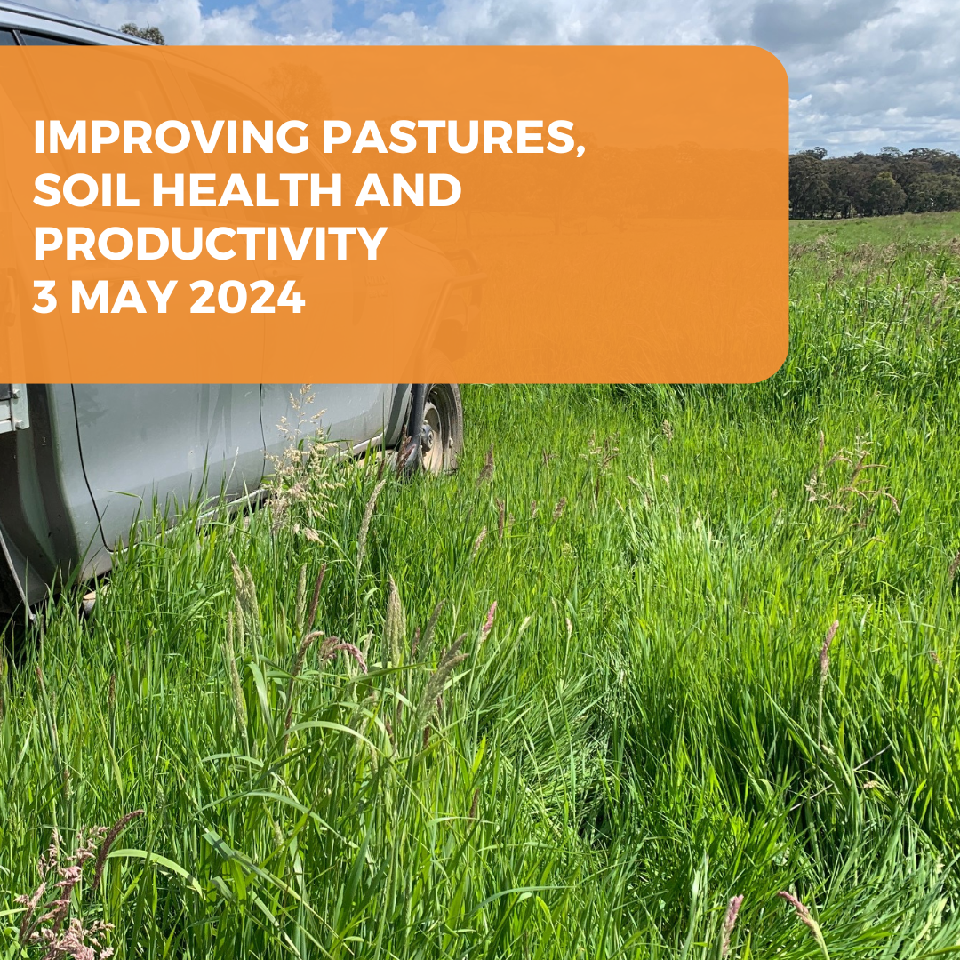 Improving Pastures, Soil Health and Productivity