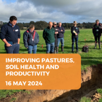 Improving pastures, soil health and productivity - Winton