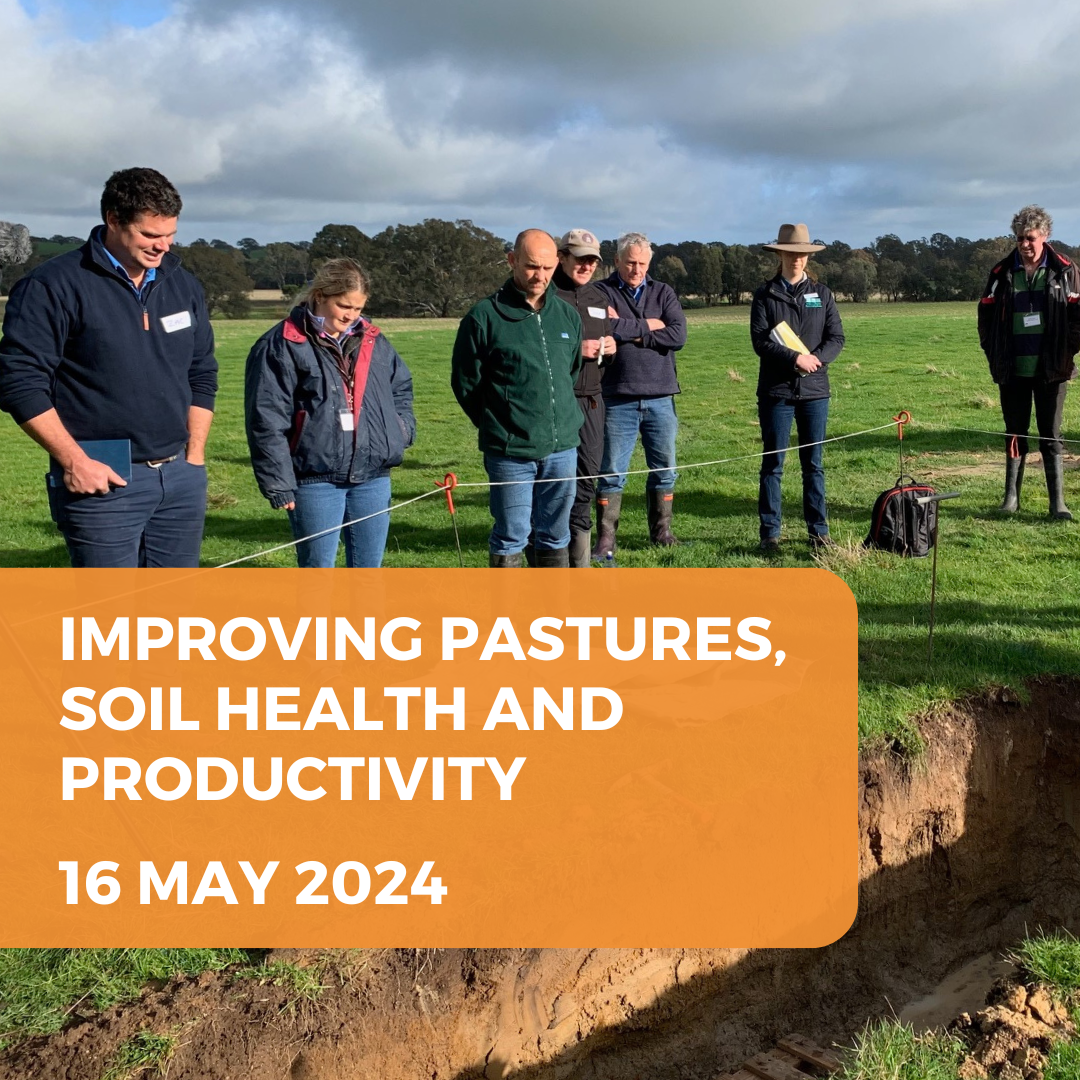 Improving pastures, soil health and productivity - Winton
