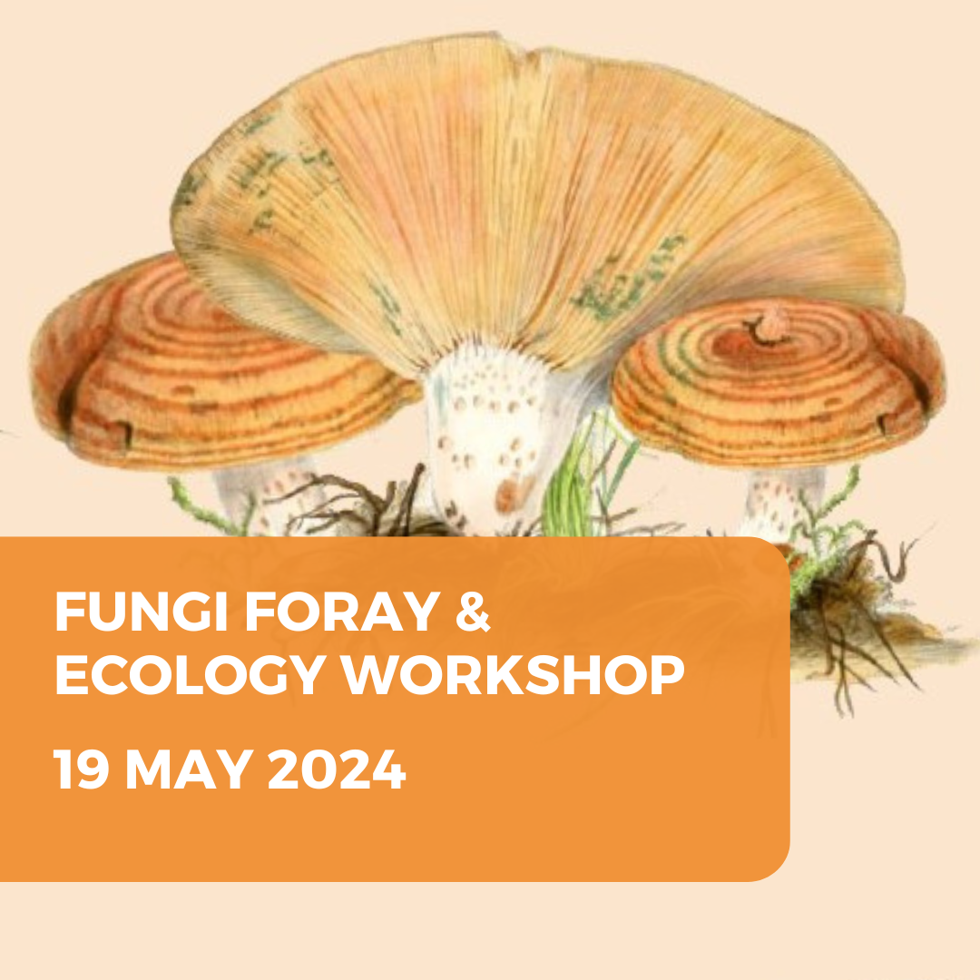 Fungi Foray and Ecology Workshop - Warrenbayne