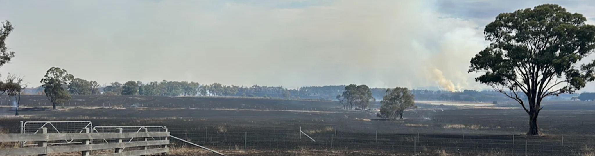 Image of a burned farmland