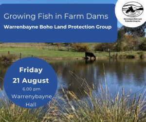 Growing Native Fish in Farm Dams